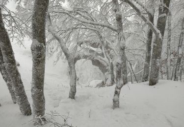 Tocht Sneeuwschoenen Léoncel - echaillon 2021 - Photo