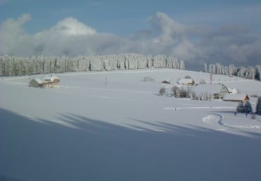 Randonnée A pied St. Märgen - Panoramarundweg Thurner - Photo