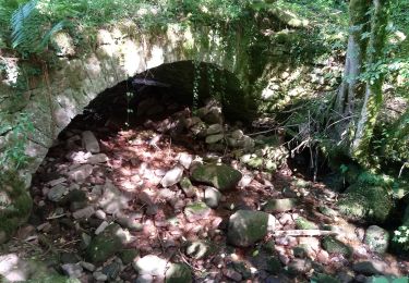 Percorso A piedi Waldbrunn - Naturpark-Rundweg 47 - Photo