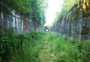 Tour Zu Fuß  - Grön Milen - Photo