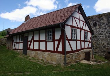 Percorso A piedi Niederaula - Herzberg Höhenweg - Photo