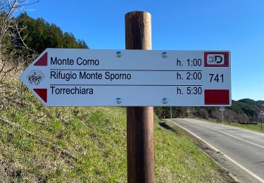 Percorso A piedi Calestano - Percorso 772 - Monte Castellaro - Jano - Percorso 772 - Photo