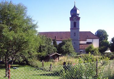 Randonnée A pied Schefflenz - Rundwanderweg Schefflenz 3: Langer-Weg - Photo