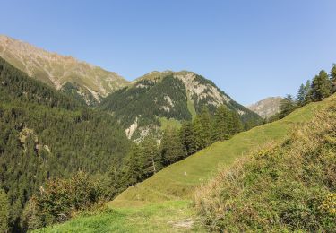 Trail On foot Valsot - Vna - Piz Arina - Photo