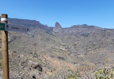Trail Walking Alajeró - Canaries - La Gomera - Imada - Jour 5 - Photo
