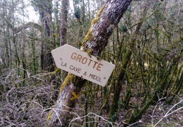 Tour Wandern Premeaux-Prissey - Premeaux  circuit rouge forêt  - Photo
