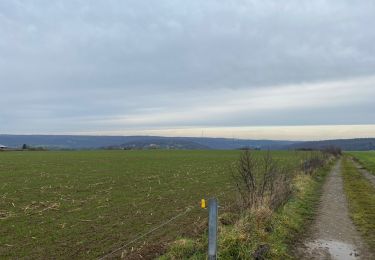 Tour Elektrofahrrad Sprimont - VTT dans le froid - Photo