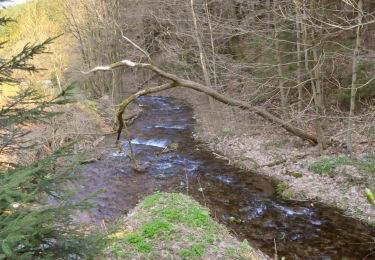 Trail On foot Unknown - Rennsteigleiter Ilmenau - Photo