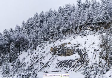 Tocht Te voet Brașov - Șaua Tâmpei - Valea Cetății - Poiana Brașov - Photo