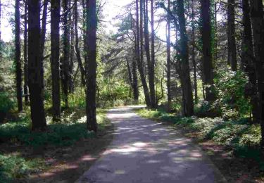 Trail Walking Quend - LP80_QUEND-PLAGE_Nord_6.7km - Photo