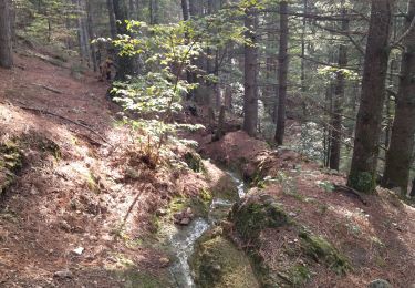 Trail Walking Vals-les-Bains - 07 vals les bains 27.10.2022 - Photo