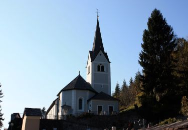 Excursión A pie Steinfeld im Drautal - Berghöfe Rundweg - Photo