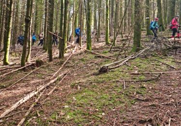 Trail Walking Masevaux-Niederbruck - Rando CLAS du 25/04/2024 - Photo