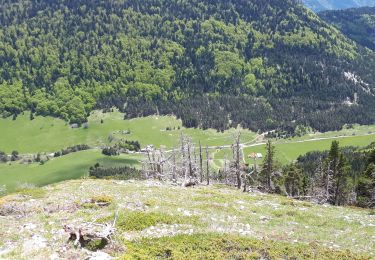 Tour Wandern Châtillon-en-Diois - Croix du lautaret - Pas du Gris - Montagnette - Photo