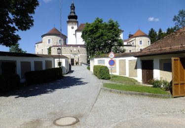 Tour Zu Fuß Kefermarkt - Buchbergweg - Photo