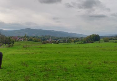 Randonnée Randonnée équestre Rosenwiller - 2019-10-27 Picnic CVA Pres du Neubruch - Photo