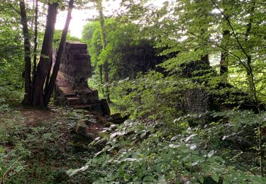 Randonnée V.T.T. Marconnelle - Balade historique - Forêt D'HESDIN - Photo
