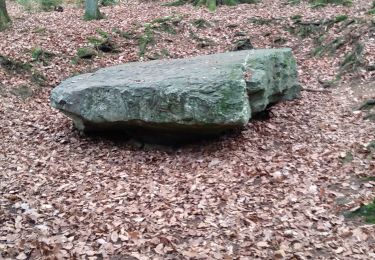 Tocht Stappen Jalhay - Hoegne-Polleur-Statte-Dolmen - Photo