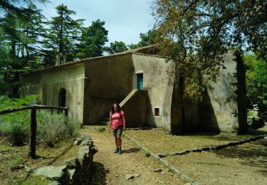 Tour Wandern Marciana - monté capane  - Photo