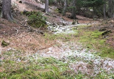 Randonnée Marche Modane - Les Essarts  - Photo