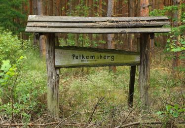 Randonnée A pied Schlepzig - Wanderweg Verbindungsstraße Lübben-Schlepzig - Photo