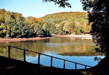 Excursión A pie Sangerhausen - Von Wettelrode zum Kalmusgrund - Photo