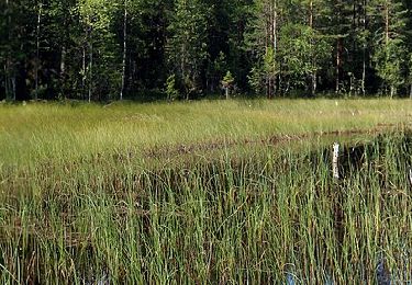 Trail On foot  - Kramstaleden - Photo