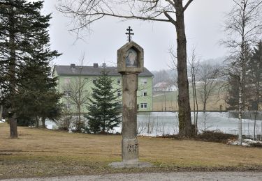 Randonnée A pied Bad Leonfelden - Miesenwald-Runde - Photo