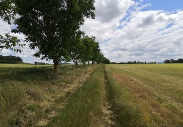 Tour Wandern Cormatin - cormati.  - Photo