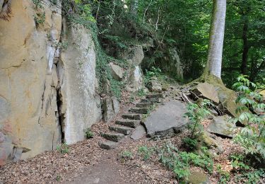 Randonnée A pied Berdorf - AP Grundhof Hiking Tour - Photo