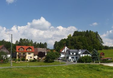 Randonnée A pied Obertrubach - Trubachweg - Photo