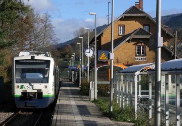 Tocht Te voet Lahr/Schwarzwald - Lahr - Elzach - Photo