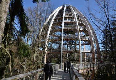 Tour Zu Fuß Neuschönau - Haustaube - Photo