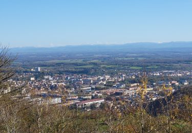 Tour Elektrofahrrad Châlonvillars - VTT - Châlonvillars - Salbert - Etang  des Forges - Fort de Giromagny - Malsaucy - Photo