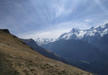 Tocht Stappen Béost - La montagne verte - Photo