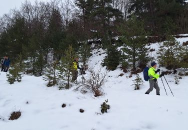 Randonnée Raquettes à neige Villard-de-Lans - glovette Roybon réel  - Photo