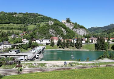 Tocht Te voet Reichraming - Wanderweg 24 - Photo