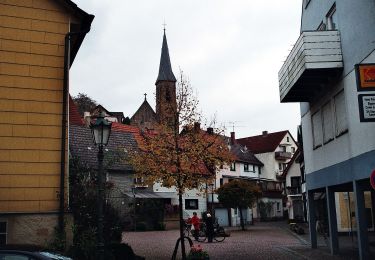 Tour Zu Fuß Bad Soden-Salmünster - Bad Soden-Salmünster Wanderweg Nr. 10 - Photo