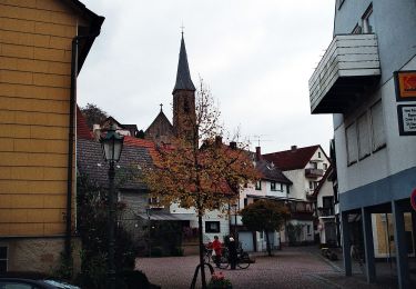 Excursión A pie Bad Soden-Salmünster - Bad Soden-Salmünster Wanderweg Nr. 10 - Photo