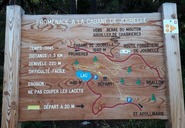 Trail Walking Saint-Apollinaire - Aiguilles Chabrieres 08/08/18 - Photo