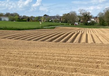 Randonnée Marche Gerpinnes - Marmor  - Photo