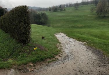 Randonnée A pied Sprimont - Boucle Louveigne -Golf de Gomzé 11Km - Photo