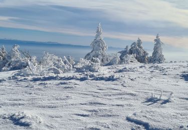 Trail Snowshoes Véranne - crets de l'oeillon - Photo