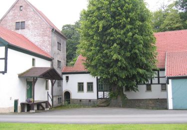 Tocht Te voet Preußisch Oldendorf - Rundweg A8 Holzhausen-Heddinghausen - Photo