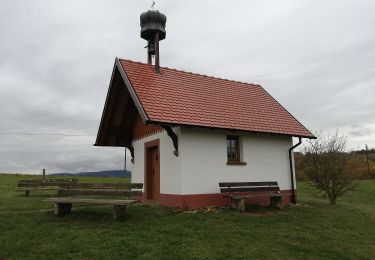 Trail On foot Lahr/Schwarzwald - Beim dreieckigen Bannstein- Grüner Platz - Photo