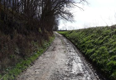 Excursión Bici de carretera Watermael-Boitsfort - Watermaal-Bosvoorde - 2020.03.12.V - Photo