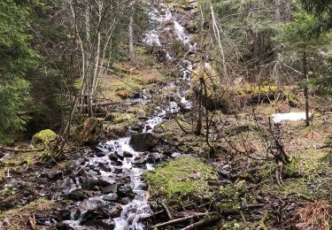 Trail Walking Chamrousse - Lac des Pourettes - Photo