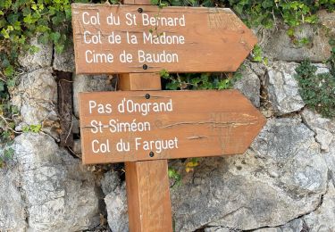 Trail Walking Peille - Peille : Cime du Baudon et Mont Ours - Photo