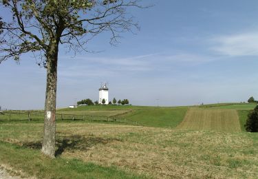 Percorso A piedi Münchenbernsdorf - Rundwanderweg Münchenbernsdorf - Photo