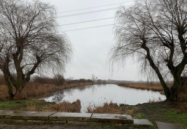 Tocht Te voet Blankenfelde-Mahlow - Rundwanderweg Schwanensee - Photo